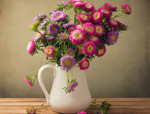 6 טיפים איך להארכת חיי הזר שקיבלתם